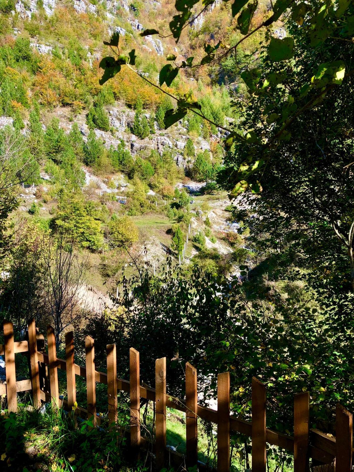 Bujtina Pllumi Theth B&B 외부 사진